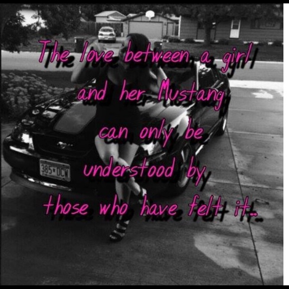 Meet your posher - Picture 4 of 4